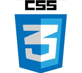 Logo CSS 3